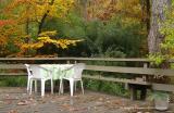 The Deck