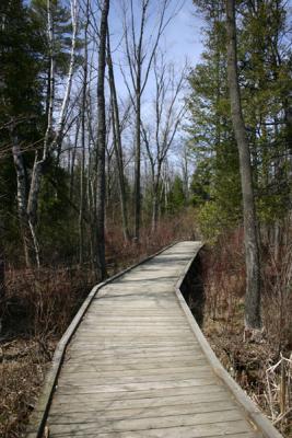 boardwalk