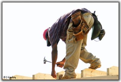 Carpenter
