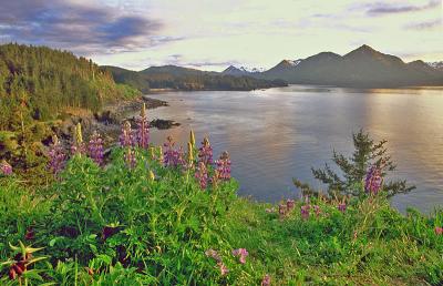 Kodiak Island