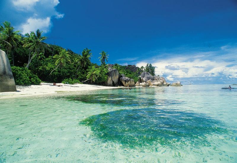 Dream Beach