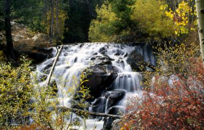 Waterfall-- Lee Vining Canyon, CA