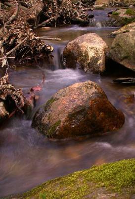 creek 4_30_03 1.jpg