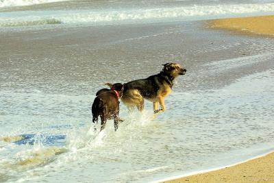 OBX 2004
