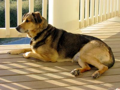 img_2301_std.jpg
