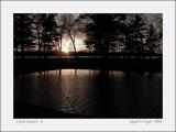 Optio Sunset - d