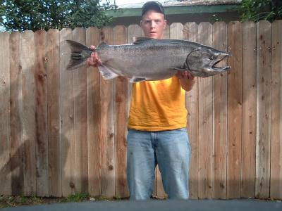 24lbs King Salmon (Buck)
Oct 26 2004