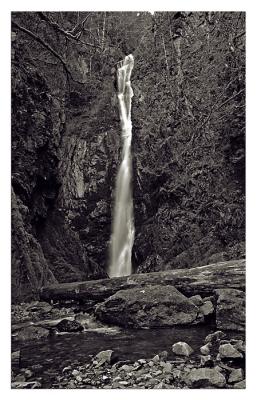 u49/jerichofire/medium/35983608.DSC_0038copy.jpg