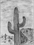 Sahuaro -graphite-