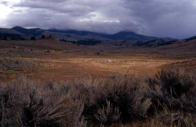 Lamar Valley, Yellowstone NP