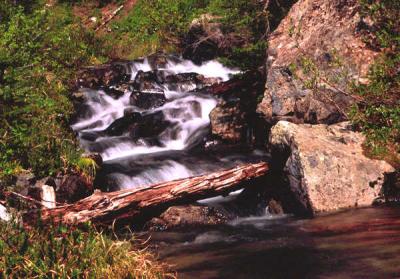 Creek in Mt Rainier National Park
