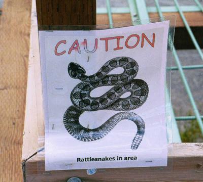 Caution rattlesnakes