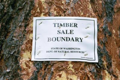 Timber sale boundary