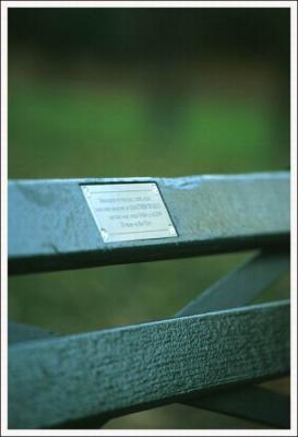 Memorial Chair at Central park.jpg