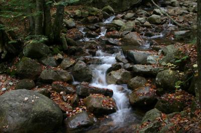 IMG_9961.JPG