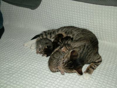DSCF1213.JPG