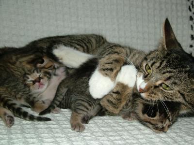SHES ONE HELL OF A MUM