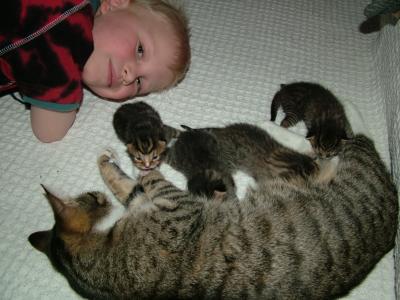 WILLIAM WATCHED THEM FOR HOURS