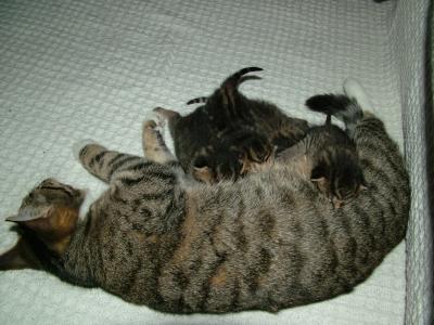 DSCF1249.JPG