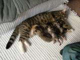 TEN DAYS OLD AND ALLS WELL