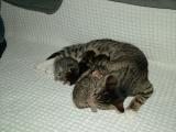 DSCF1213.JPG