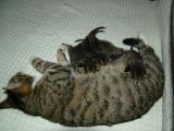 DSCF1249.JPG