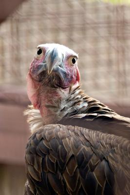_MG_0040.jpg