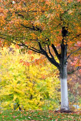 _MG_0714.jpg