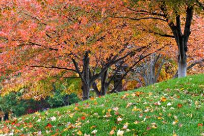 _MG_0738.jpg
