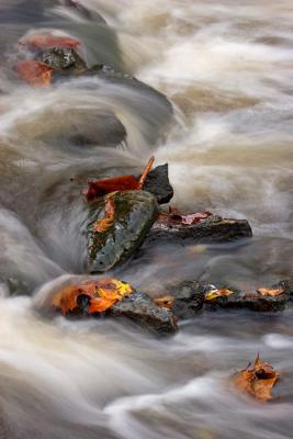 _MG_1085.jpg