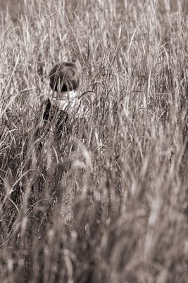 _MG_1606.jpg