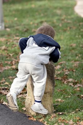 _MG_1803.jpg