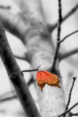 _MG_9879.jpg