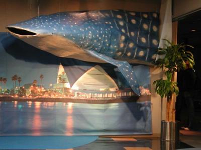 whale shark model, Kagoshima Aquarium