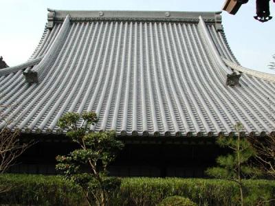 DSCN3305.jpg