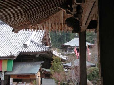 DSCN3319.jpg