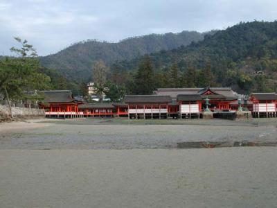 DSCN3370.jpg