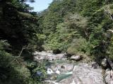 river, Yakusugi Cedar forest