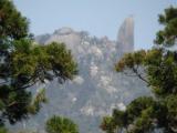 distant view, Yakusugi Cedar forest