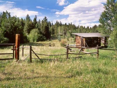 u49/jimbosphotos/medium/36642488.CrippleCreek65.jpg