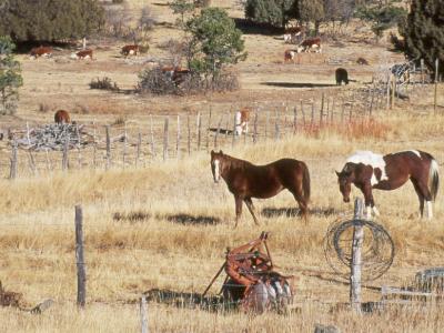 durango99_104.jpg