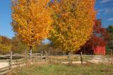 Old Bethpage Village Restoration, Long Island, NY