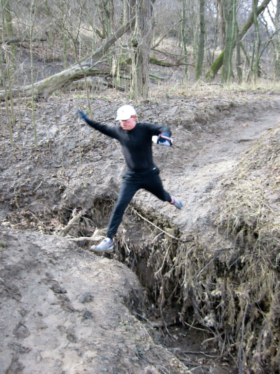 Leapin Lizard