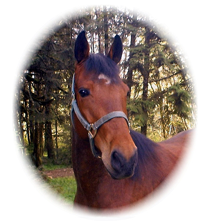 Buddy,  May 2001