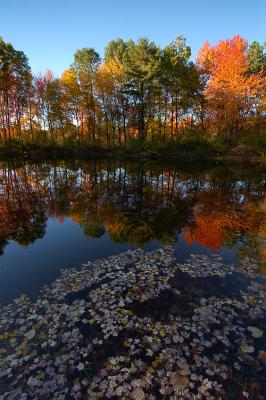 Kettle Pond - Great Meadow National Wildlife Preserve