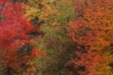 Peak Color