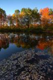 Kettle Pond - Great Meadow National Wildlife Preserve