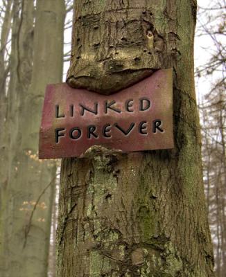 Linked Forever