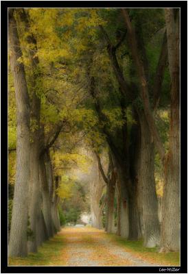 IMG_3247-4x6pc.jpg