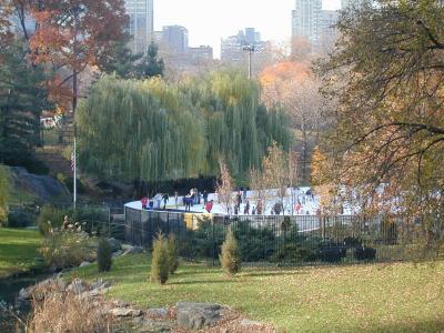 Wollman Rink